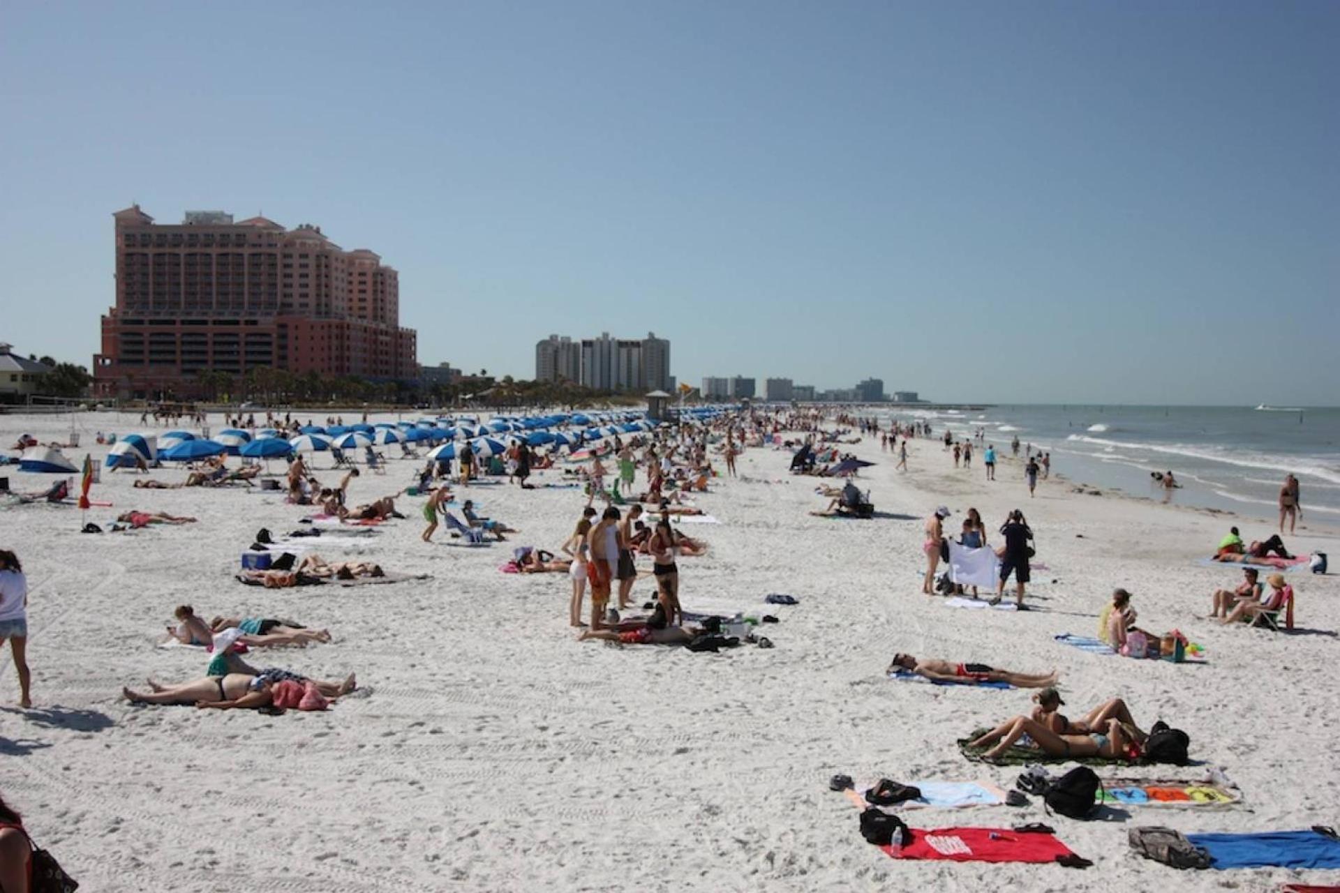 201 Belleair Beach Club Clearwater Beach Eksteriør billede
